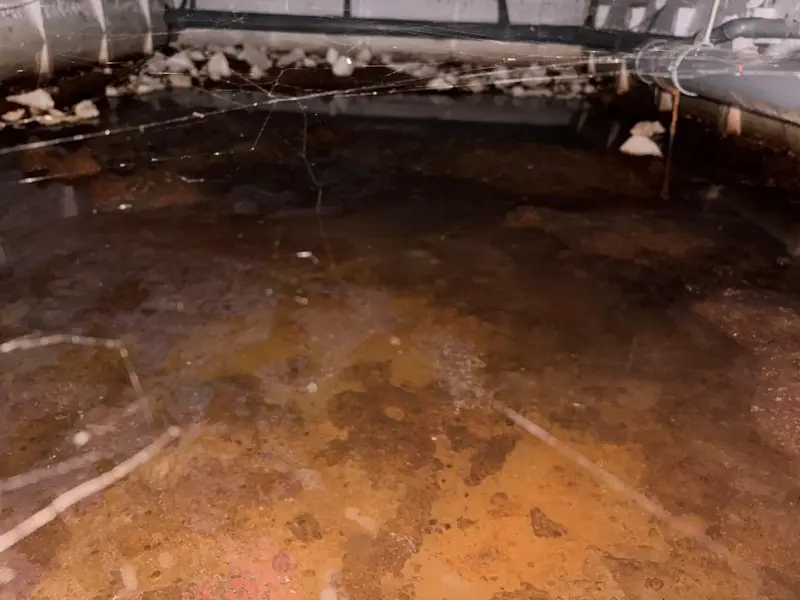 Kruipruimte in Wormerveer met een laag water op de bodem, voordat PuinVrij het wegpompt
